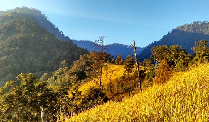 tempat wisata di ponorogo untuk keluarga