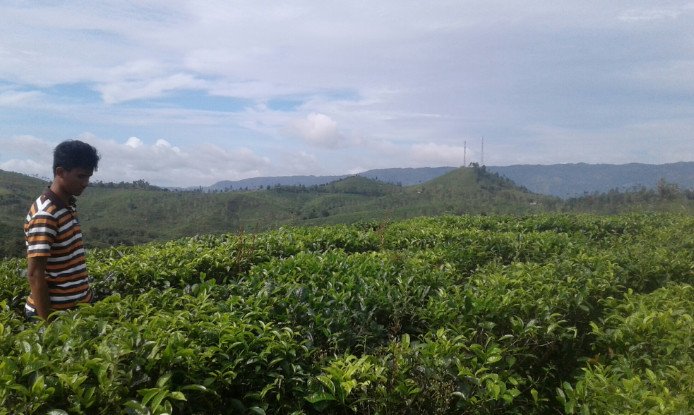 tempat wisata di tasik yang rekomended