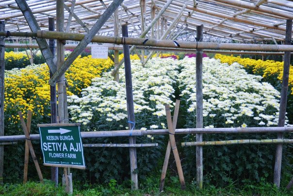 tempat wisata paling favorit di semarang