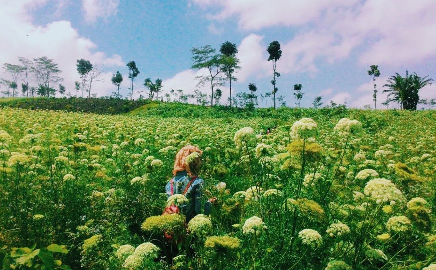 tempat wisata paling favorit di bondowoso