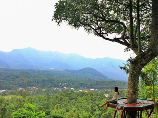 tempat wisata yang asyik di pemalang