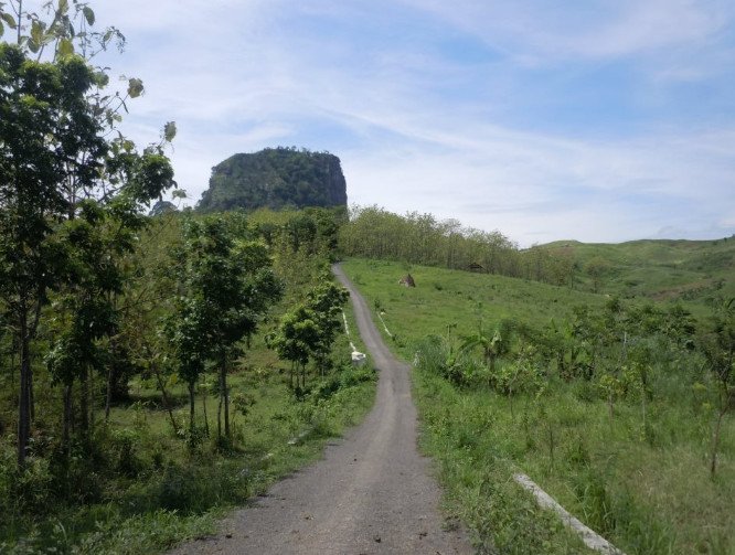 tempat wisata di pemalang yang rekomended