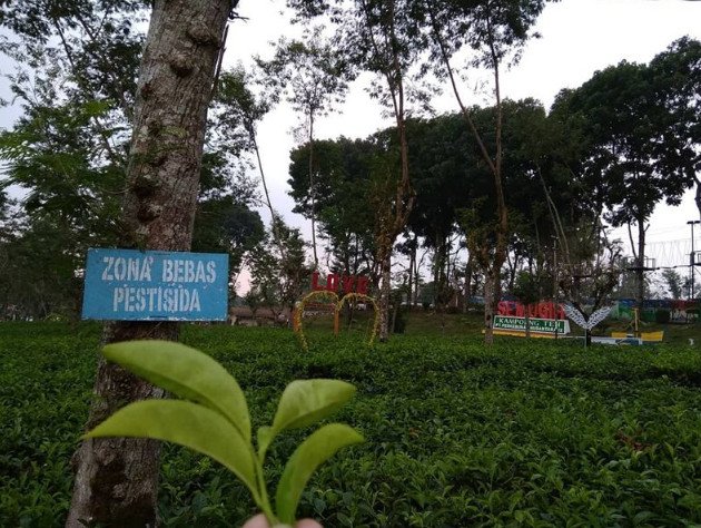 tempat wisata yang asyik di pemalang