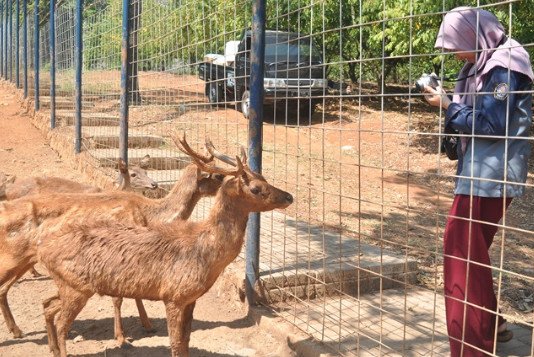 tempat wisata yang asyik di kudus