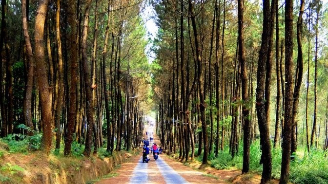 tempat wisata di magelang yang rekomended