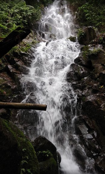 tempat wisata yang asyik di jombang