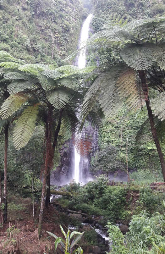 tempat wisata yang asyik di jember