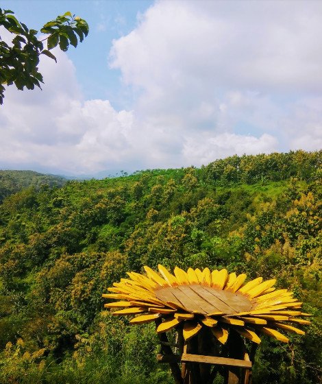 tempat wisata di jombang yang rekomended