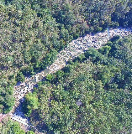 tempat wisata yang asyik di jombang