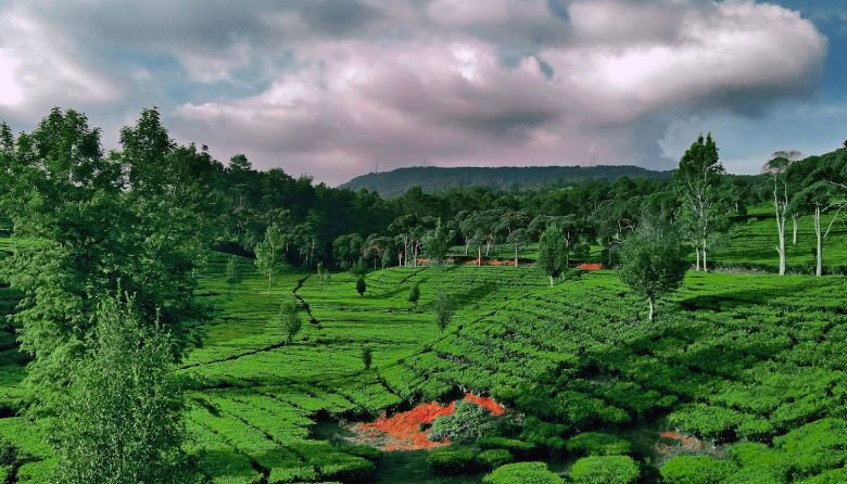 tempat wisata paling favorit di lembang