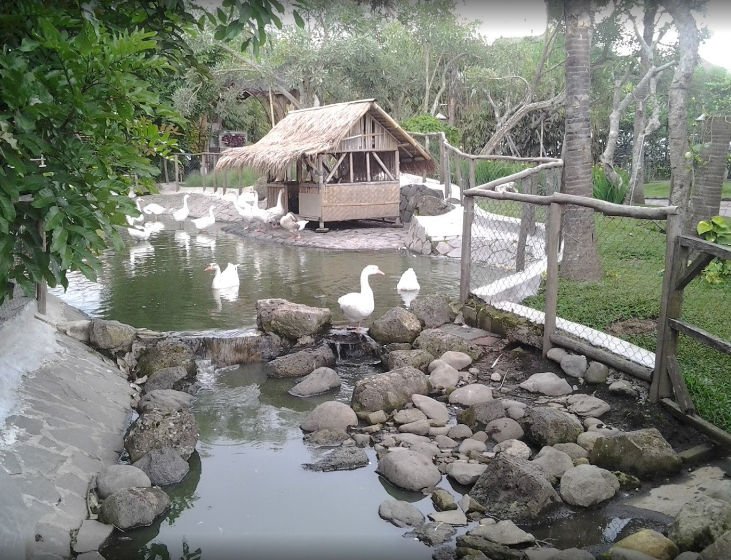 Gambar Floating Market (3)