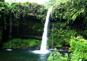 tempat wisata di purwokerto untuk keluarga