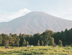 tempat wisata di purwokerto