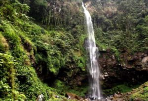 tempat wisata di purwokerto untuk keluarga